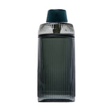 NWTN Home - Deco Gravity Bong