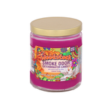 Smoke Odor Exterminator